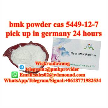 bmk powder cas 5449-12-7 to netherland safety line 